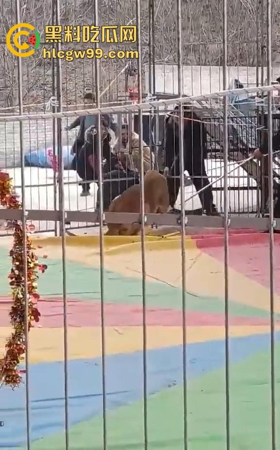 山西运城大年初三狮子突然发疯当街撕咬活人 驯兽师狂揍都没用 死咬不松口！-7